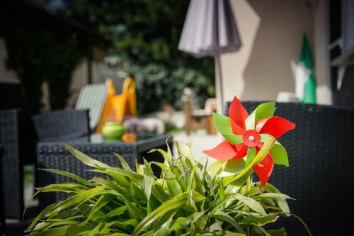 Apartamento Appartement Kuen