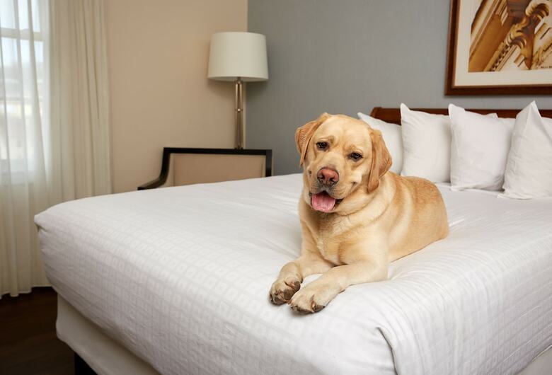 Stonewall Jackson Hotel