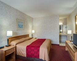 Econo Lodge East Staunton