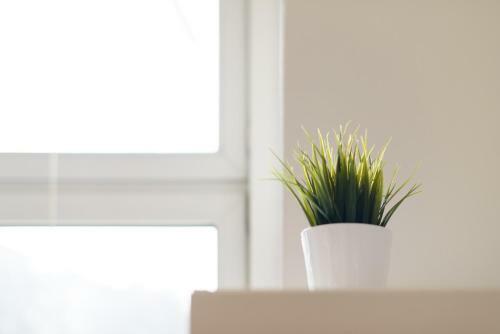 Vienna Living Apartments-dampfgasse