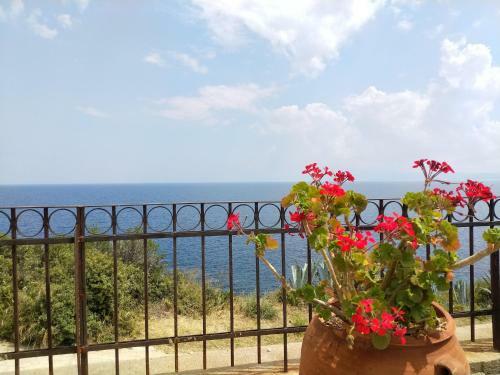 Apartamento Zennova #3 Mount Athos & Sea View