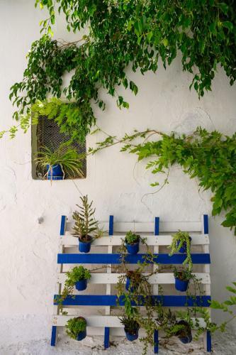Albergue Sofia Rooms