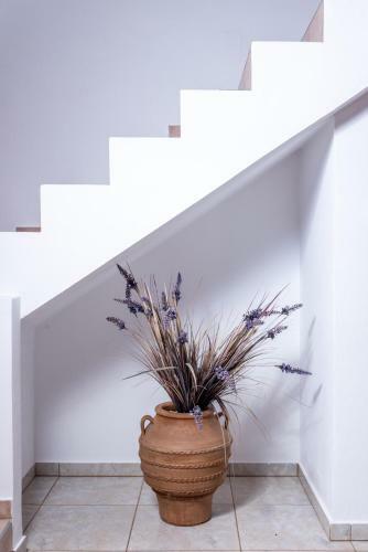 Apartamento Vrisanos