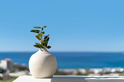 Apartamento Fedra Guest House