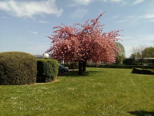 Hotel H�tel Balladins 2* Rouen - A�roport