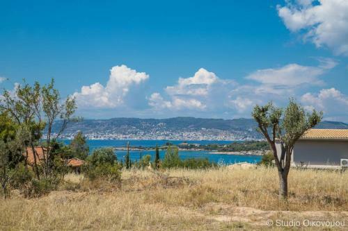 Apartamento Studio Gerani 2