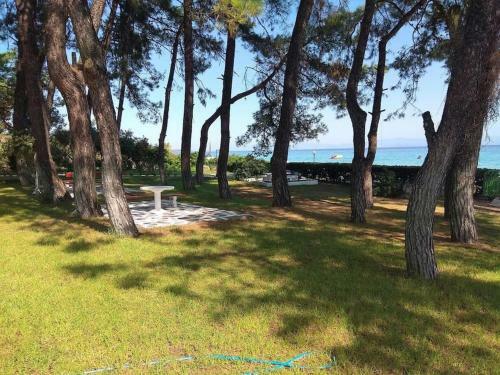 Seaside Apartment Avra Ideal For Families