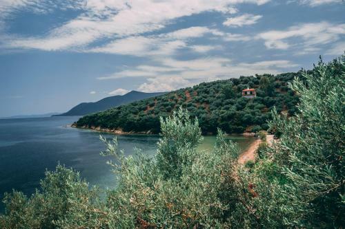 Villa Elia