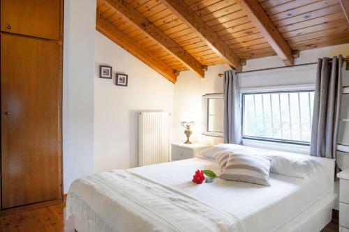 Apartamento Granis Family House