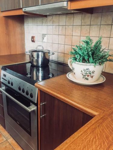 Apartamento Agrilia Maison