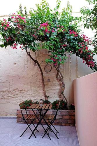 Apartamento Historical Center House (poem)
