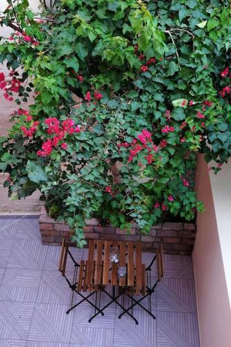 Apartamento Historical Center House (poem)