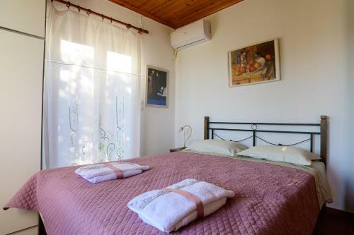 House In Zaloggo