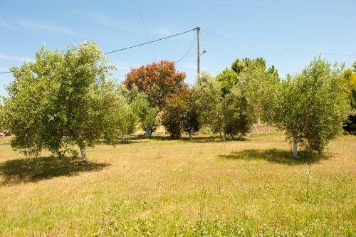 Olives Estate Apartments Grande