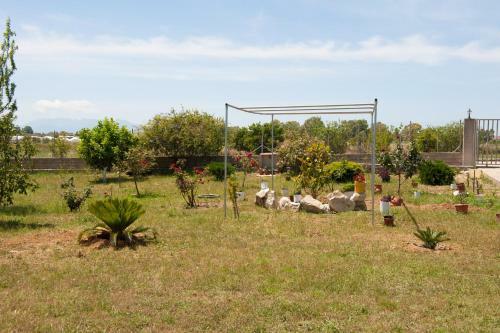 Olives Estate Apartments Grande