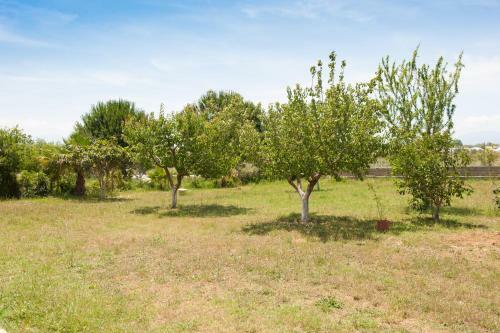 Olives Estate Apartments Grande
