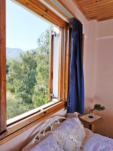 Goldy's Naturale Traditional Home