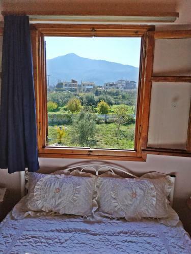 Goldy's Naturale Traditional Home