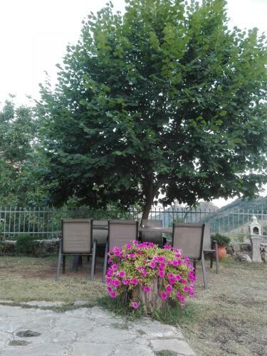Hostal Xenonas Souliou