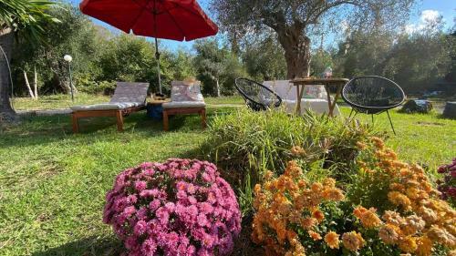 Lamda Apartments By Konnect, Roda Corfu