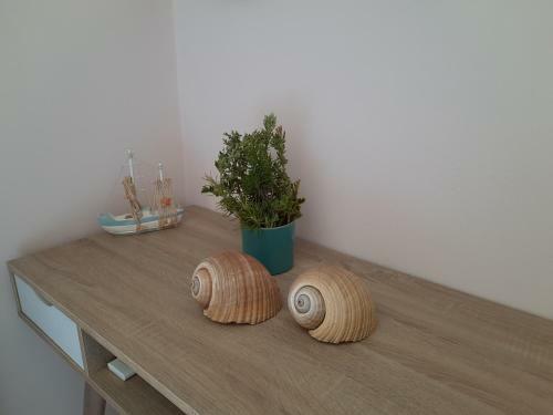 Freesia Grand Sea View Apartment