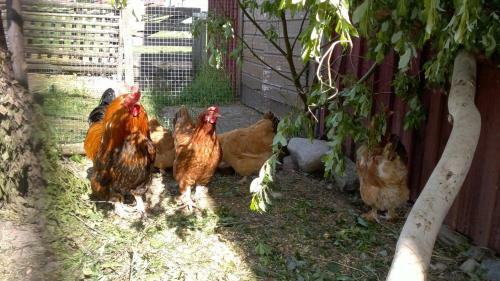 Agroturismo Farmhouse Tervam�ki
