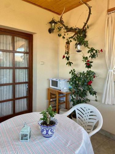 Apartamento Fodor H�z