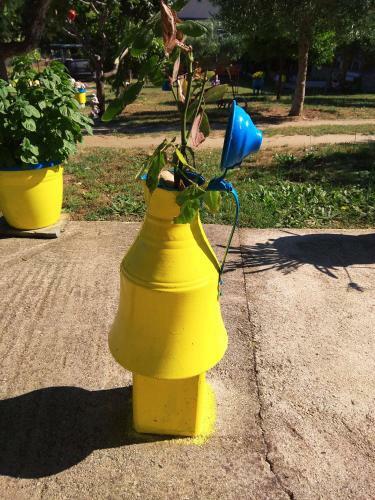 Apartamento Farma Giannis