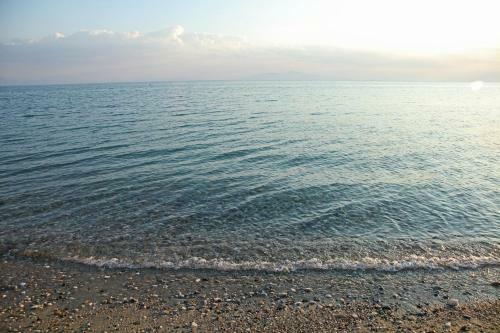 Luxurious Beachfront Family House