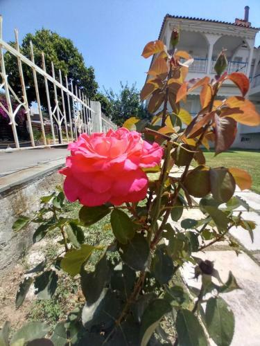 Apartamento Halkidiki Greek Pride Evlogia Seaside