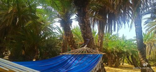 Apartamento Increteble-cretan Residences-2