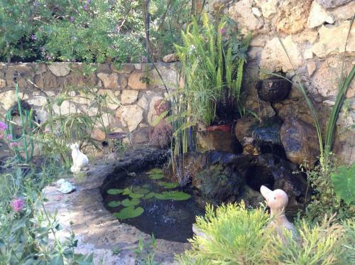 Olive House Traditional Villa With Pool