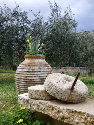 Agroturismo Countryside Apartment