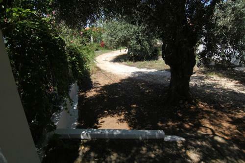 Joanna's House