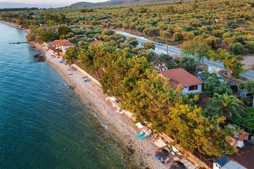 Pine Beach House