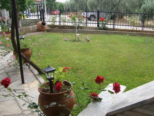 Hostal Ageri Studios
