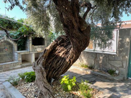Elia & Meli Villa