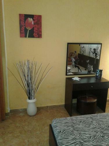 Gatos Apartment