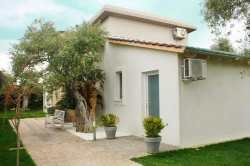 Olive Dream Thassos Luxury Villas
