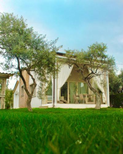 Olive Dream Thassos Luxury Villas