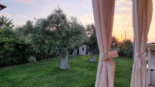 Villa Vanya