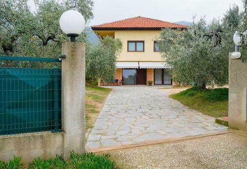 Olive's House