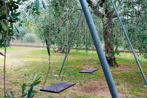 Olive's House