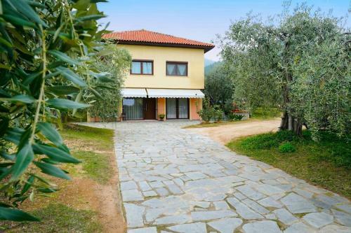 Olive's House