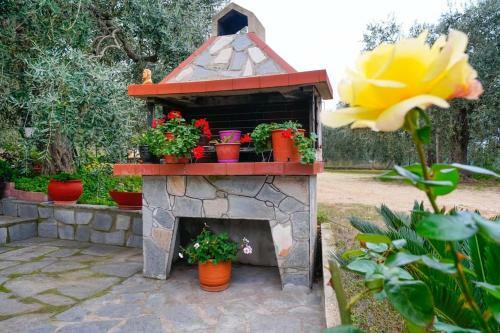 Olive's House