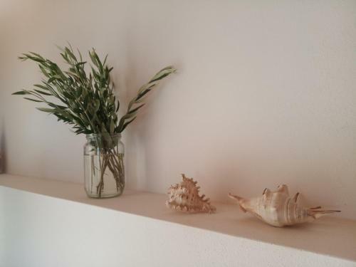 Agroturismo Floreica Studio By The Sea