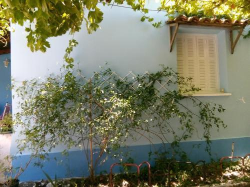 Agroturismo Blue Cottage
