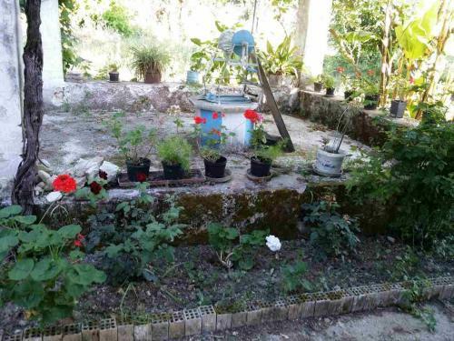 Agroturismo Blue Cottage
