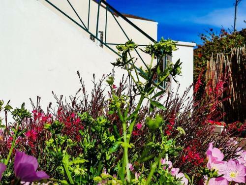 Apartamento Aloe Residents