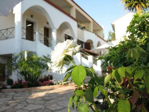 Apartamento Aloe Residents